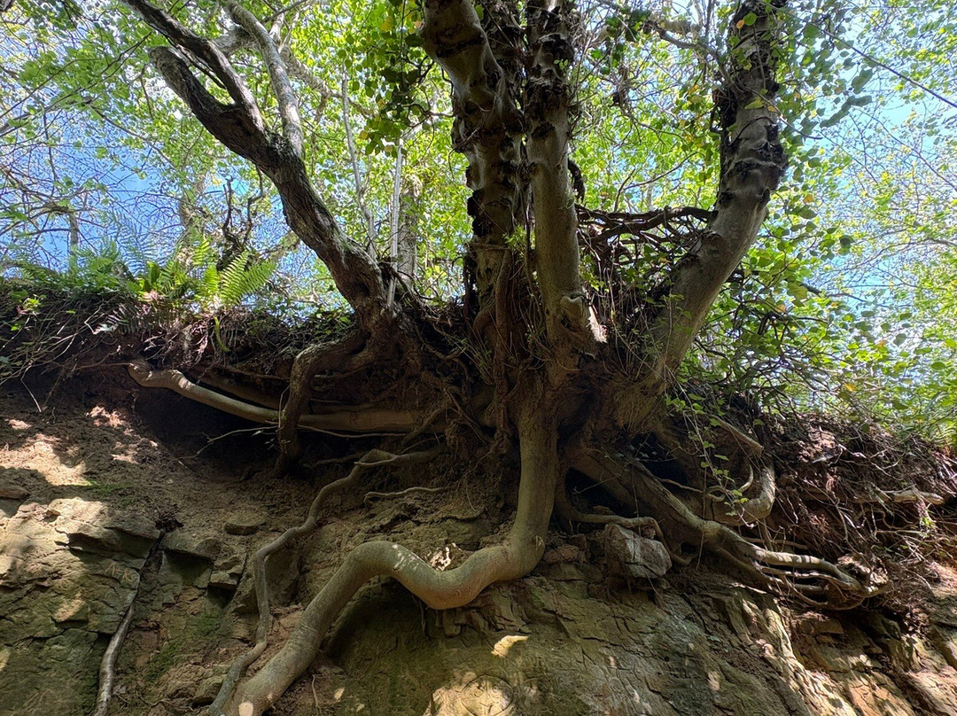 Symondsbury Estate-Symondsbury必去景点