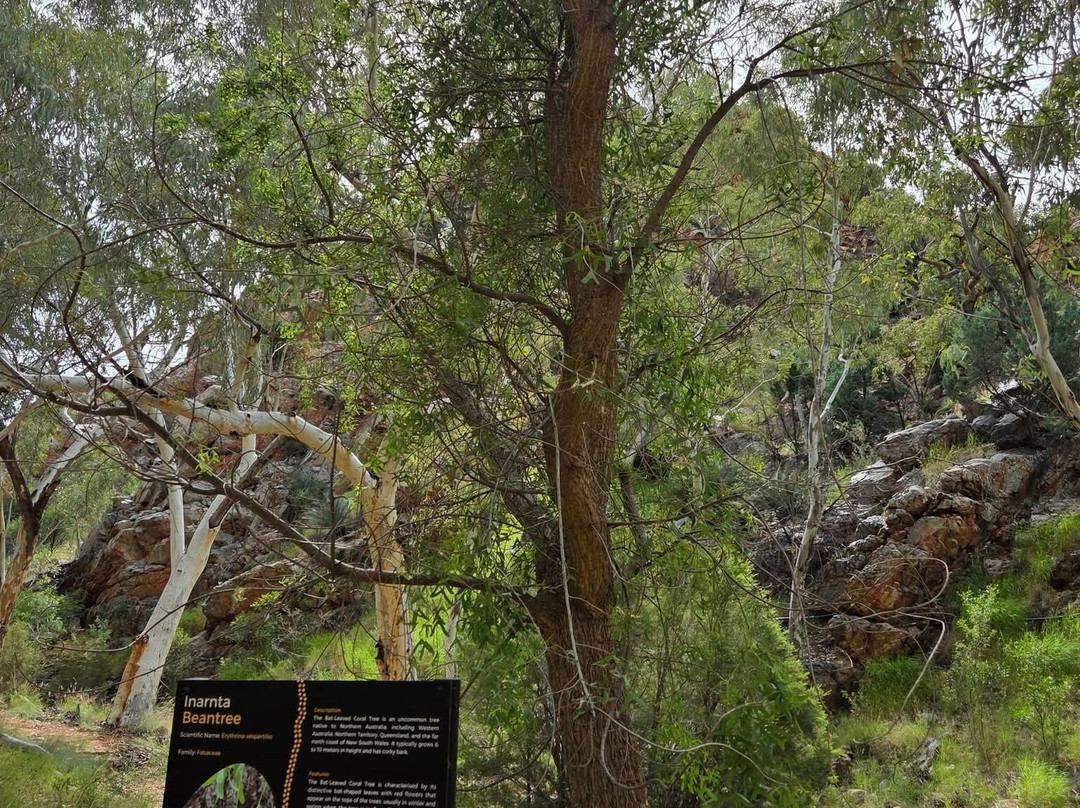 Standley Chasm Angkerle-West MacDonnell National Park必去景点