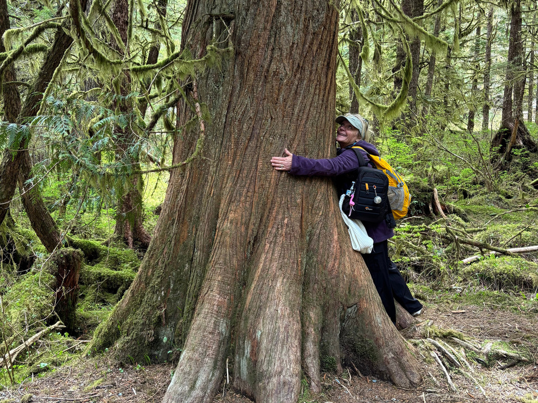 Alaska Rainforest Sanctuary-凯奇坎必去景点