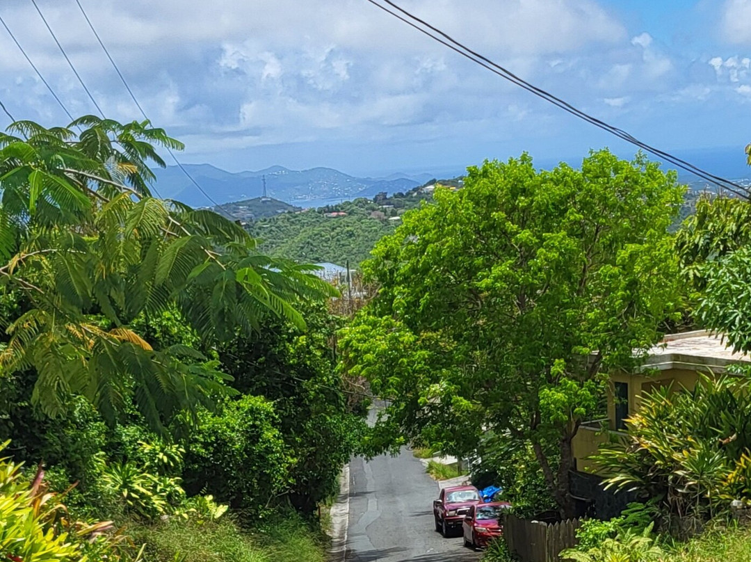 Phantasea Tropical Botanical Garden-圣 托马斯必去景点