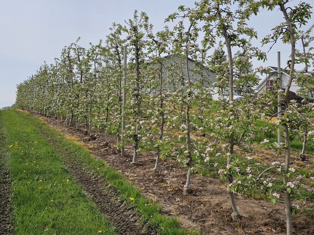 Bonnie Castle Farm B&B主图