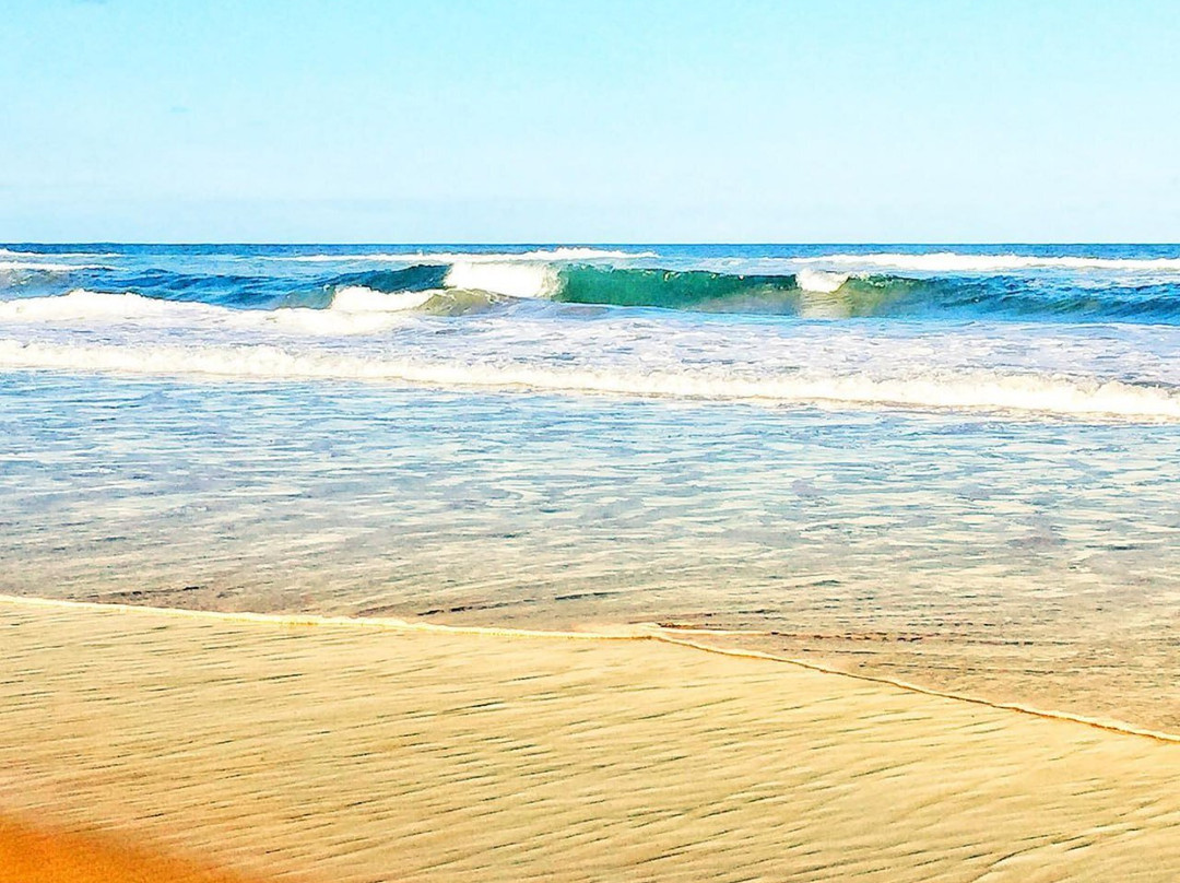 Seven Mile Beach-Shoalhaven必去景点