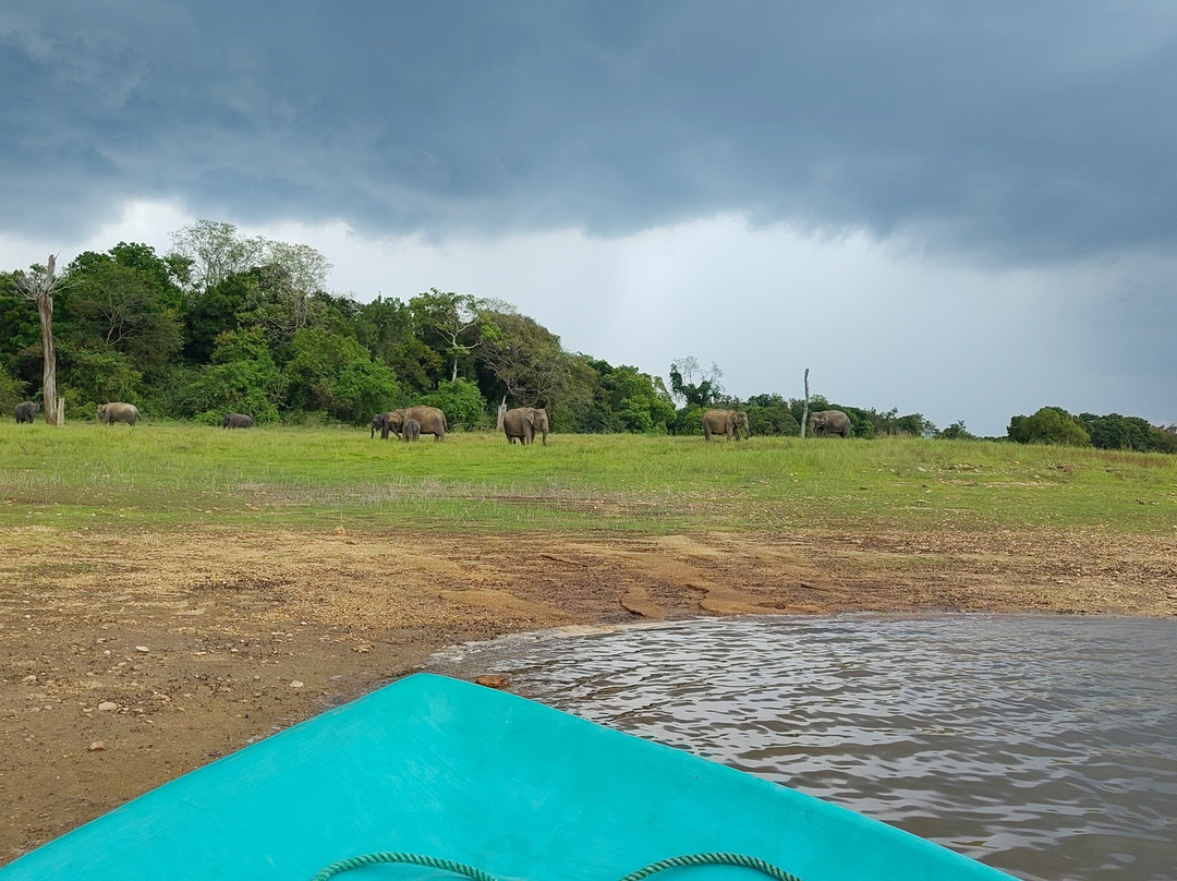 LK Travels & Tours SRI LANKA-卡尔库达必去景点