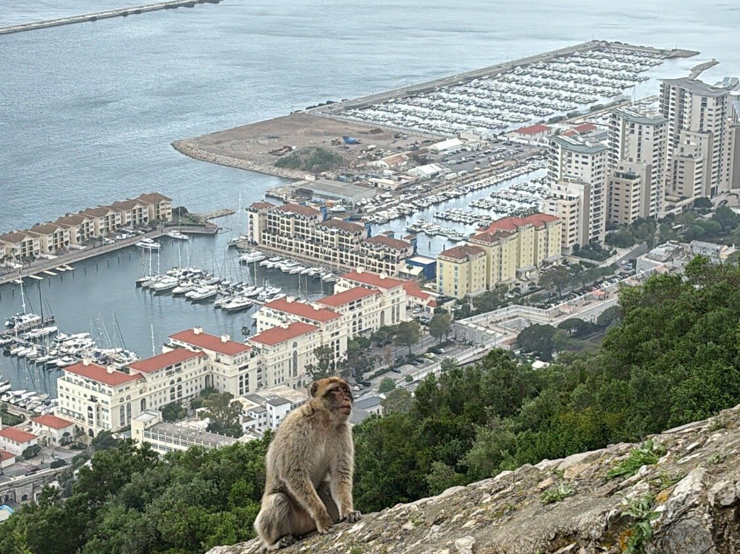 直布罗陀巨岩-Gibraltar Town必去景点