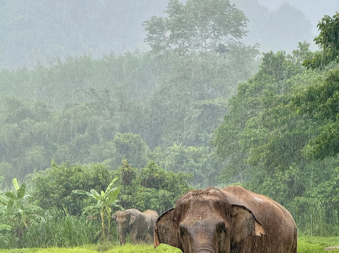 Elephant Hills主图