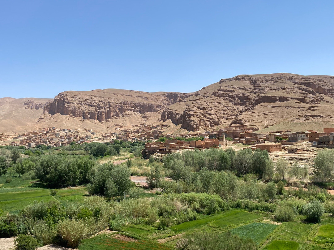 Caravane Renard du Desert-迈哈米德必去景点