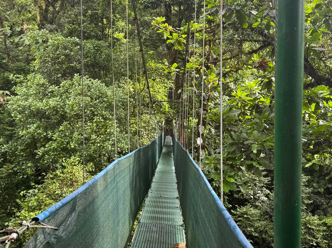 Carlos Tour Guide-Upala必去景点