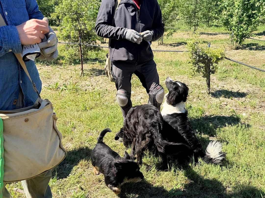 Truffle Hunting at Les Pastras-Cadenet必去景点
