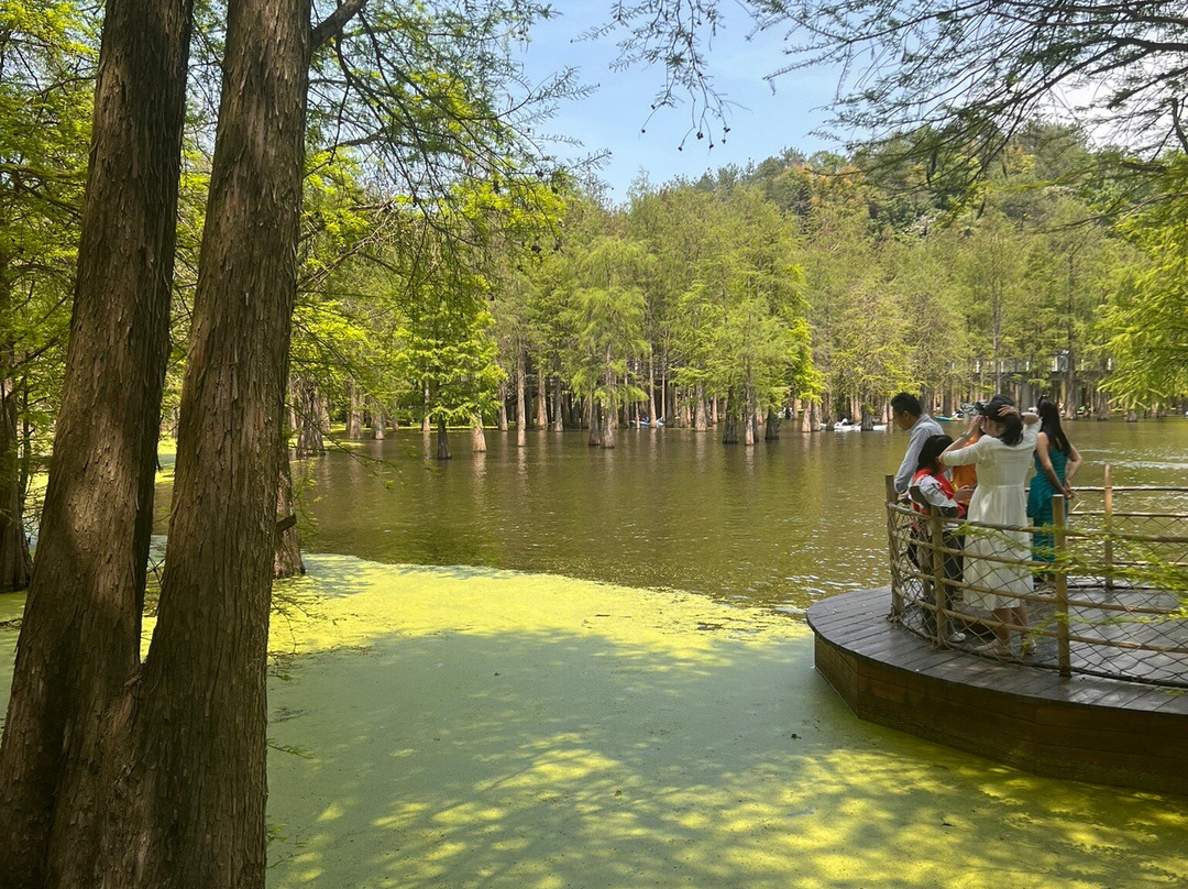 青山湖-临安市必去景点