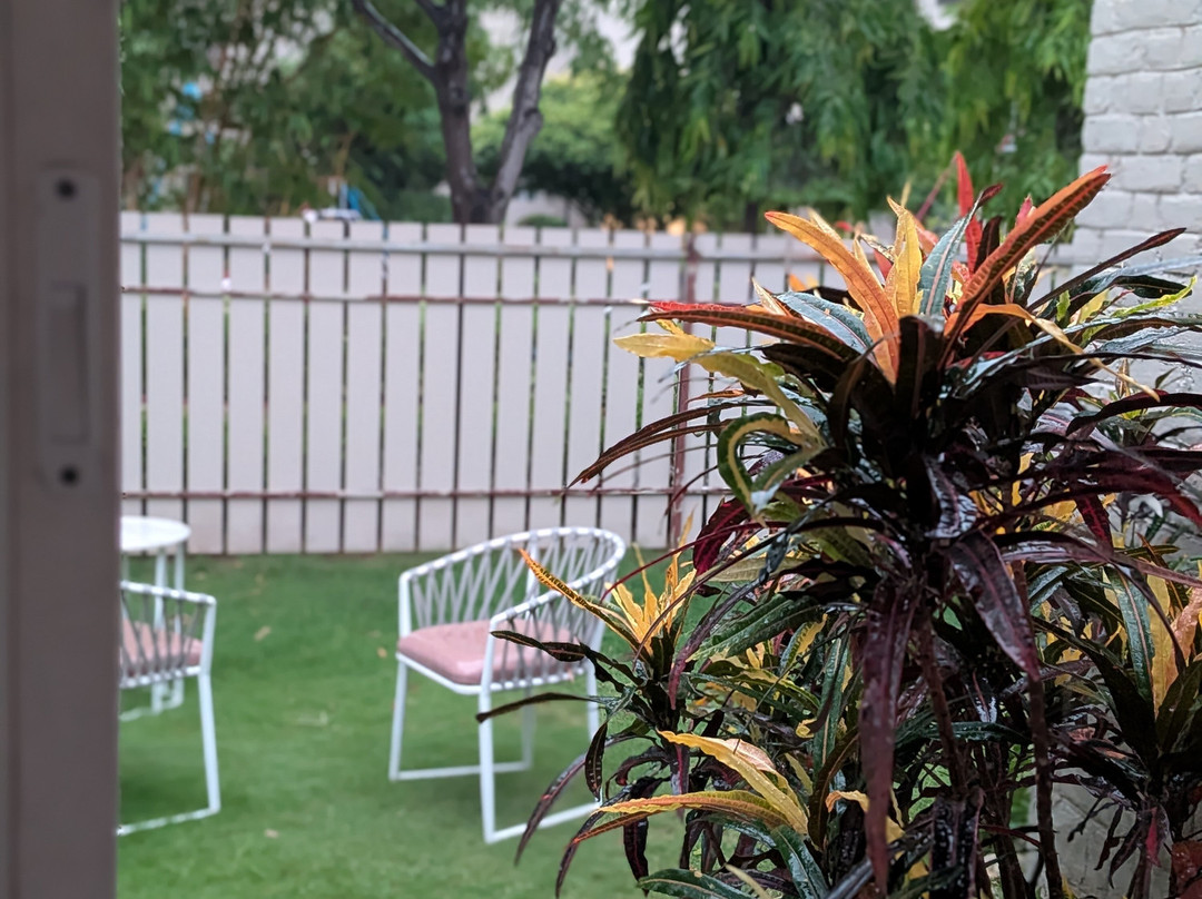 Bamboo Saa Sunrrise Weddings & Wellness Resort Jaipur主图