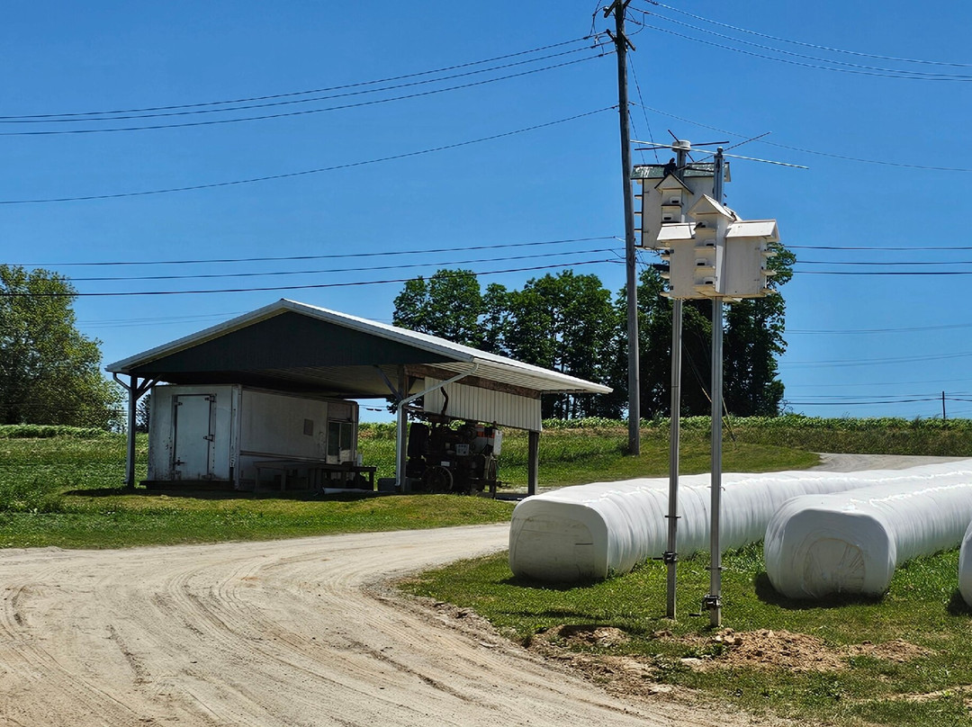 Watson Farm Produce & Dairy-Delta必去景点