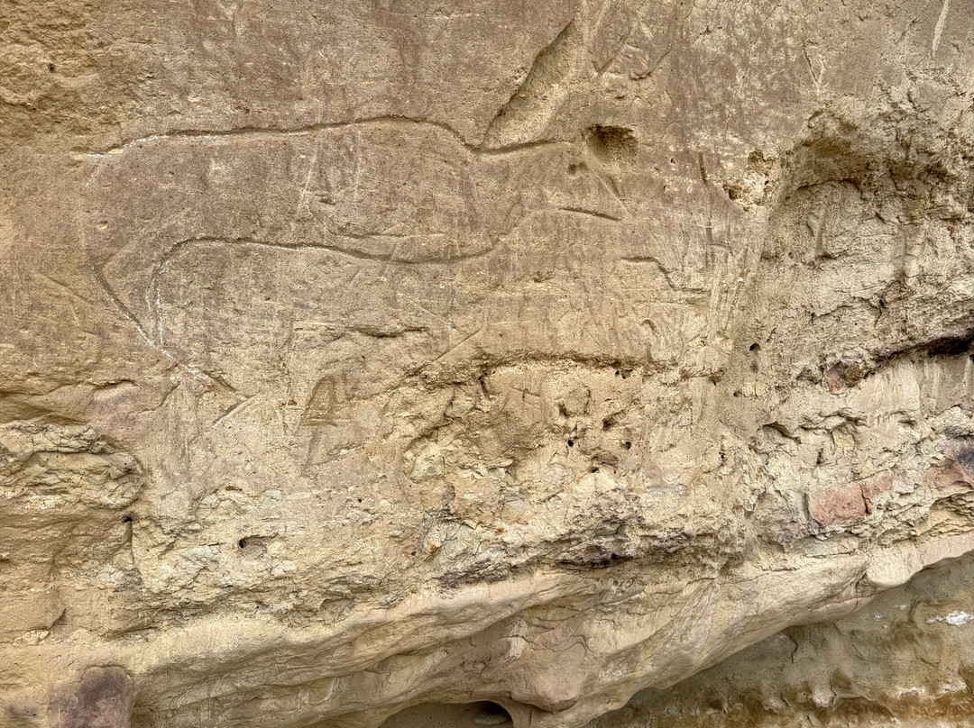 White Mountain Petroglyphs-Rock Springs必去景点