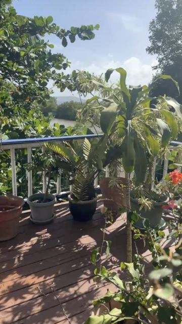 Garden by the Sea B&B-酒店景观