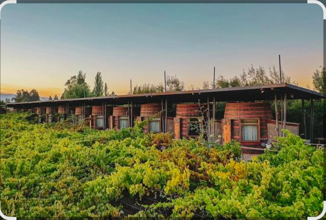 Viña Cava Colchagua