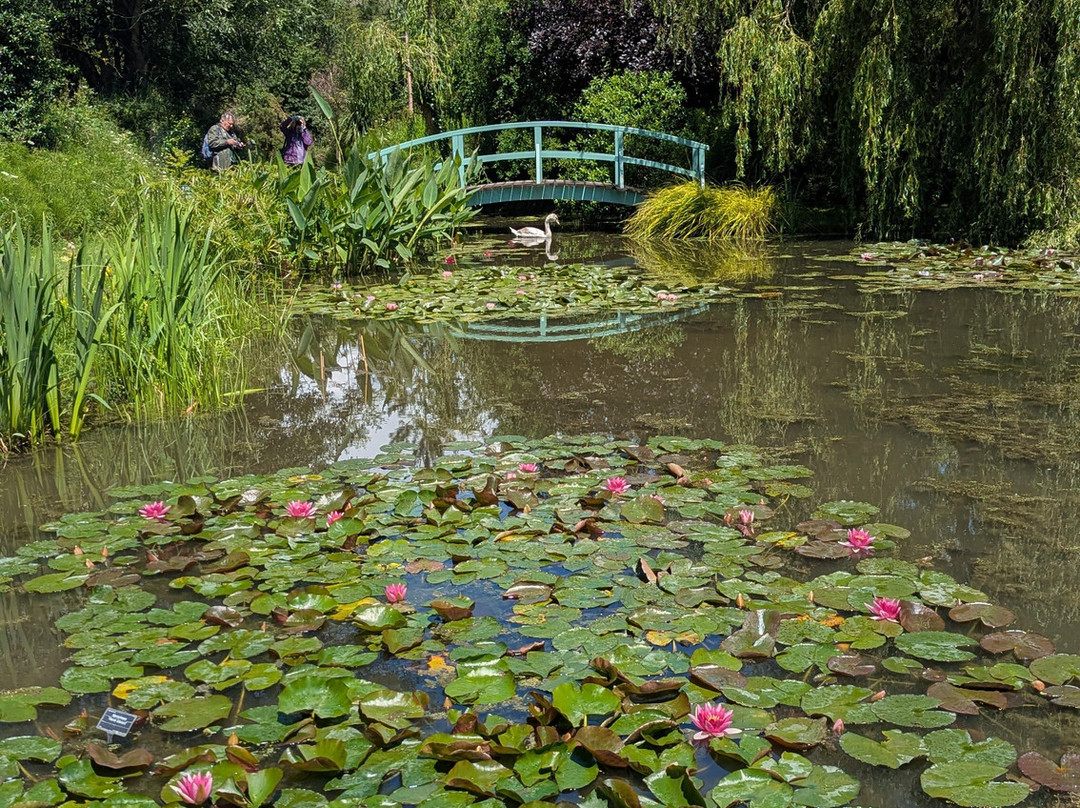 Bennetts Water Gardens-Chickerell必去景点