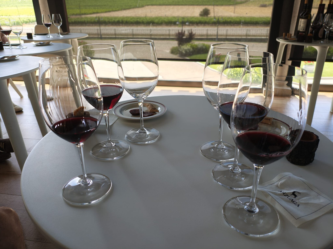 Bodegas Arzuaga Navarro-Quintanilla de Onesimo必去景点