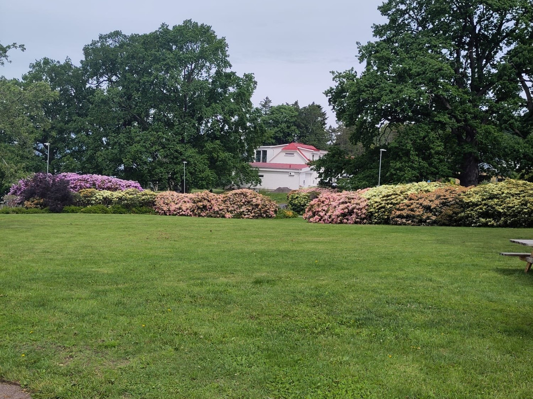 Rosenlunds Rosarium-延雪平必去景点