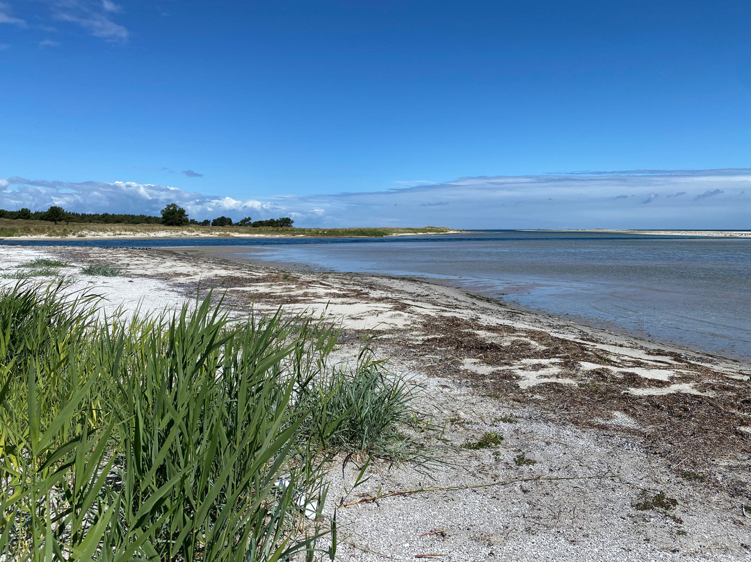Naturreisen MV-Ostseebad Prerow必去景点