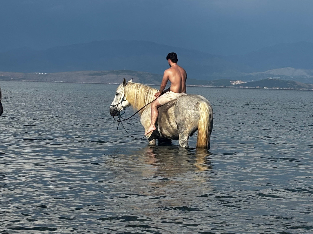 North Corfu Horses-Peritheia必去景点