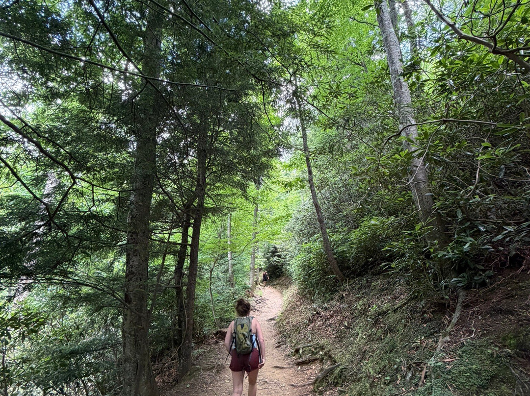 Grotto Falls Trail-大雾山国家公园必去景点
