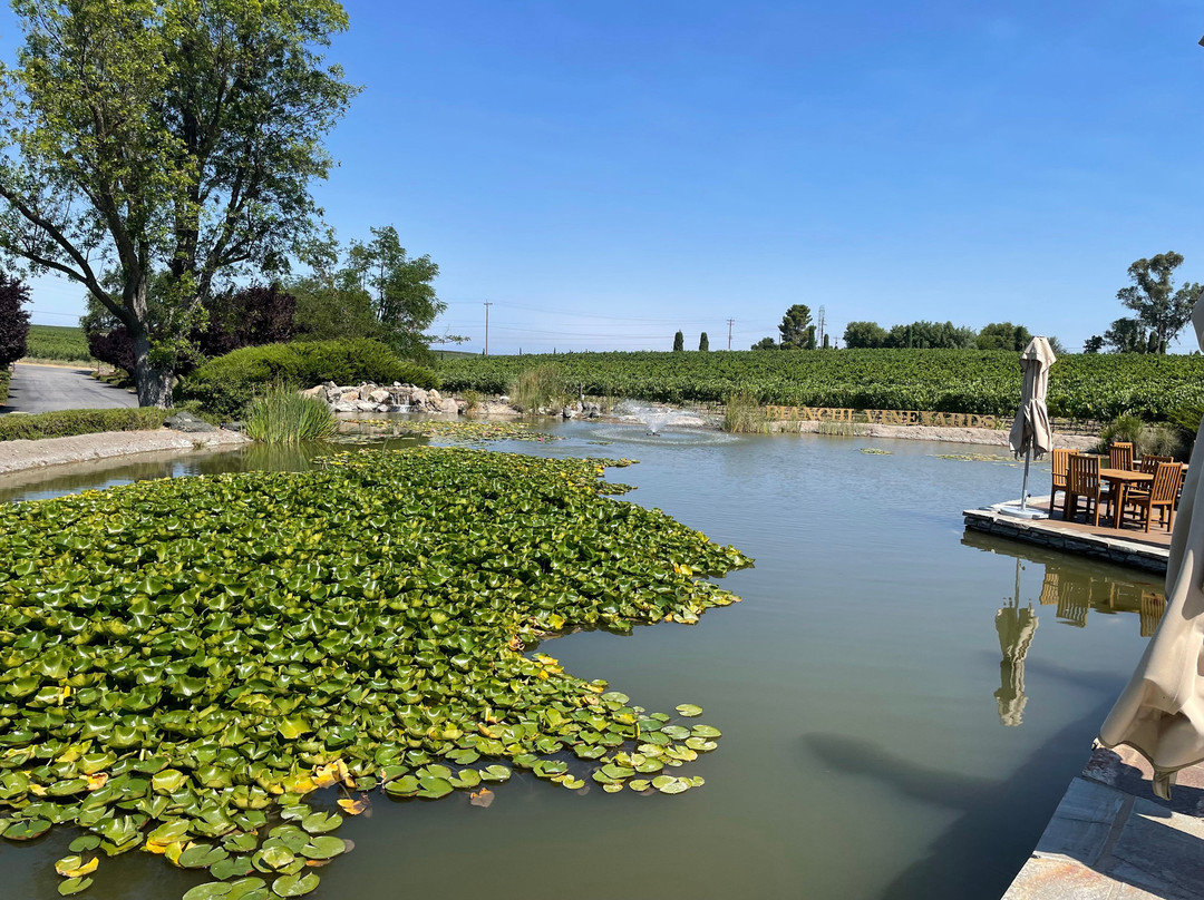 Bianchi Vineyard and Winery-帕索罗布尔斯必去景点