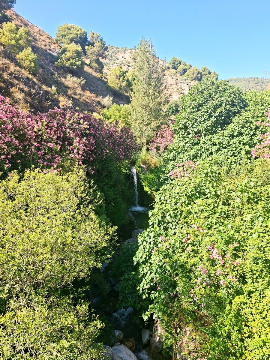 赫尔米拉多公寓-旅行者