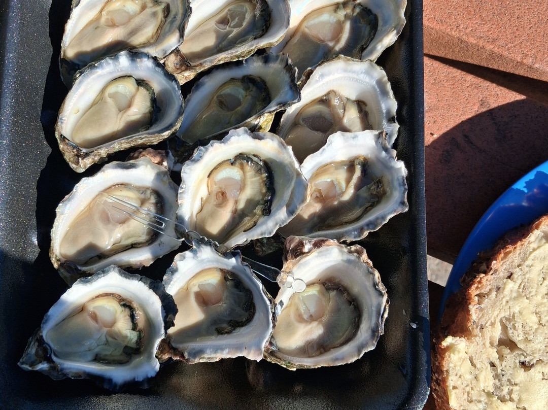 Cole Bros Oysters-Karuah必去景点
