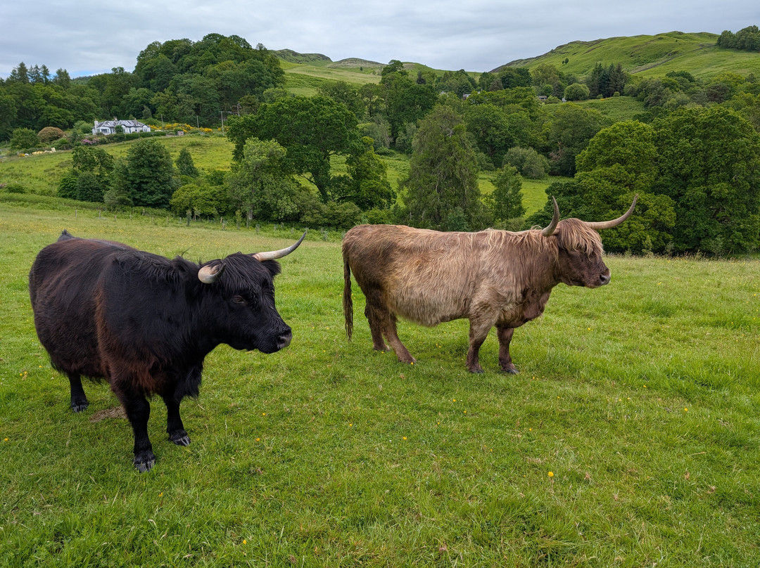 Nether Glenny Farm - Coos and Views-斯特灵必去景点