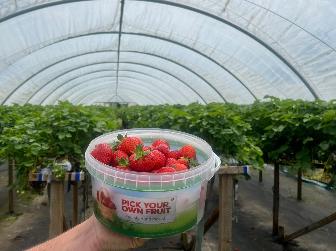 Woore Fruit Farm-Woore必去景点