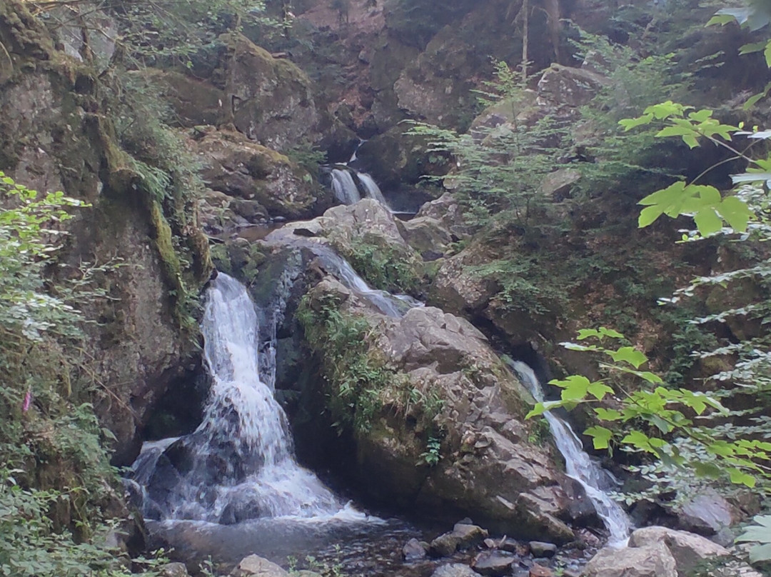 Circuit des Cascades de Tendon-Tendon必去景点