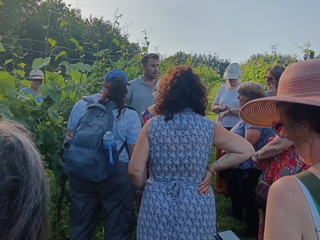 Quoit At Cross Vineyard-蒂弗顿必去景点