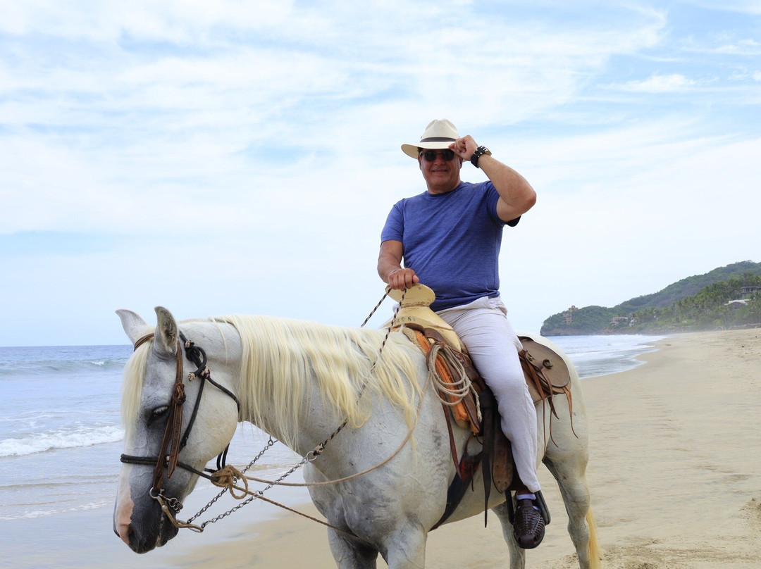 Vista Paraiso - Day Tours and Activities-Higuera Blanca必去景点