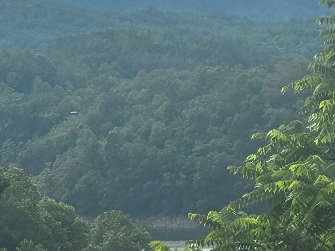 Lakeview at Fontana Inn & Treetop Soaking Cabanas主图