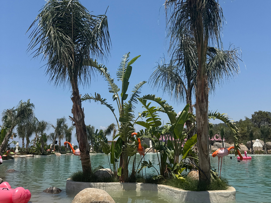 Candyland Bodrum-博德鲁姆必去景点
