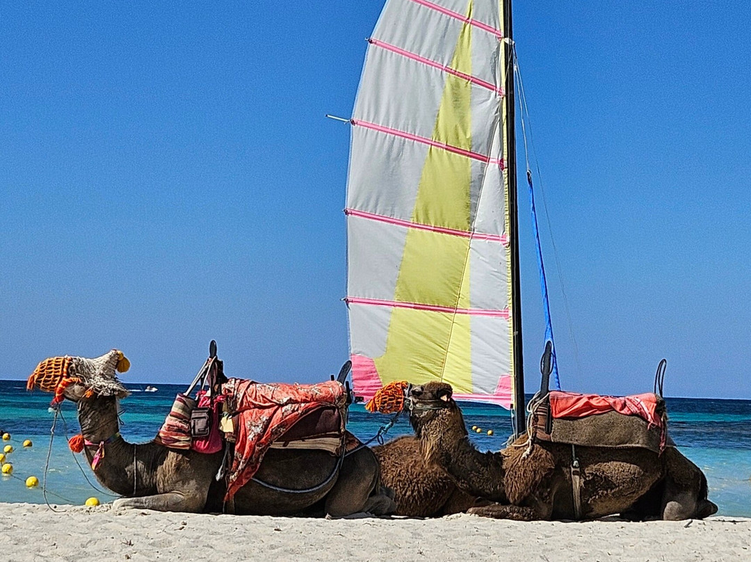 Seabel Rym Beach Djerba主图