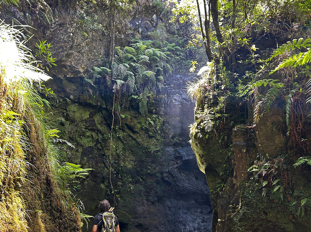 Madeira Wonder Hikes-沙尔必去景点