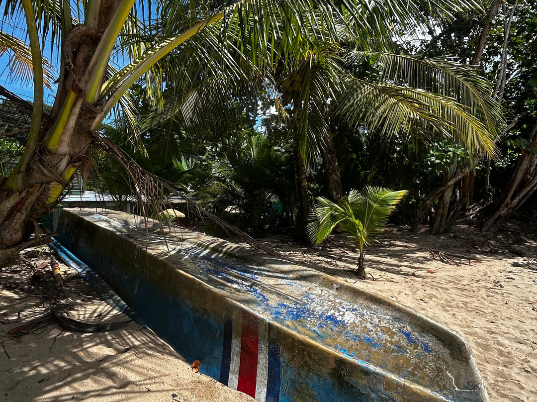 Playa Punta Uva-Punta Uva必去景点