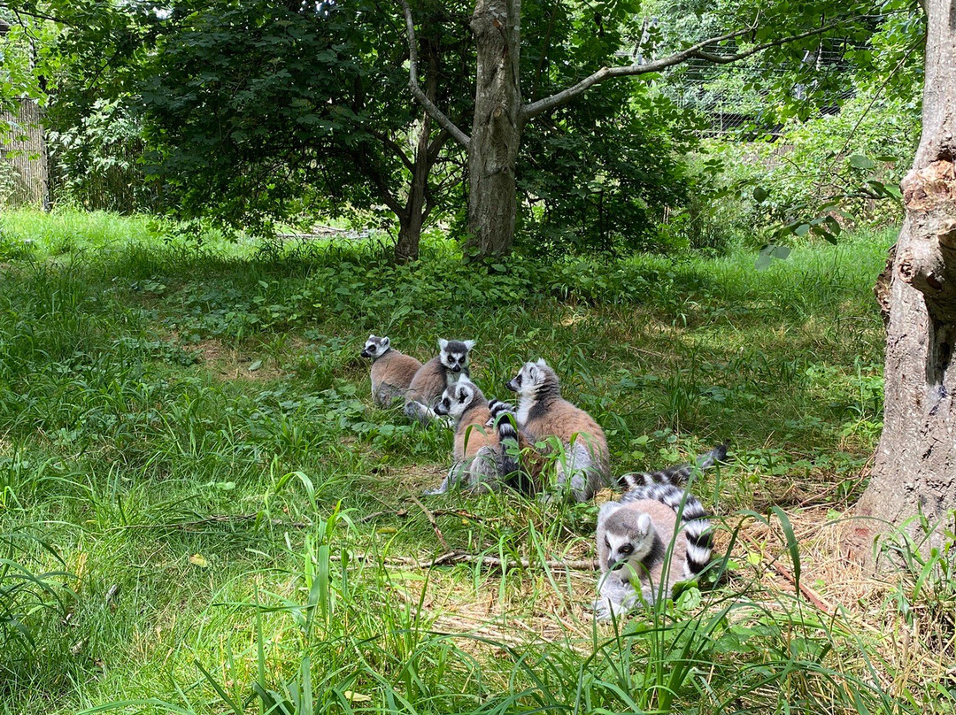 Knuthenborg Safaripark-马里博必去景点