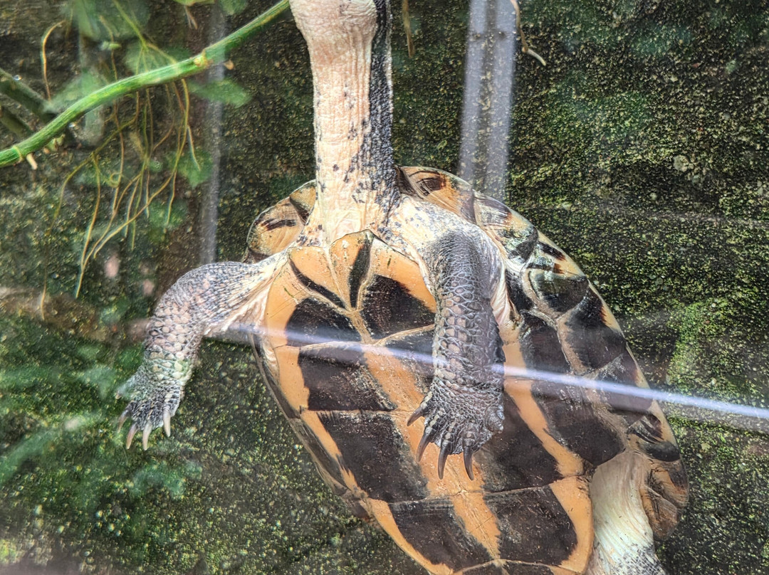 Paignton Zoo Environmental Park-佩恩顿必去景点