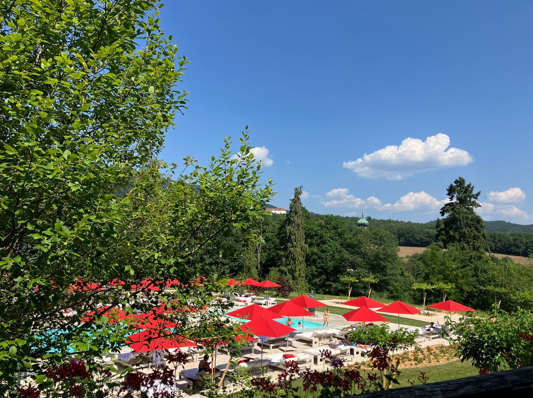 Hôtel & Spa les Violettes主图