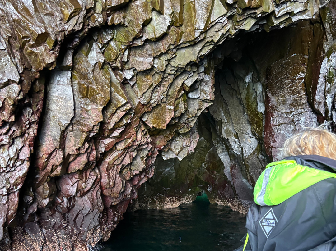 Discovery Sea Adventures-Bonavista必去景点