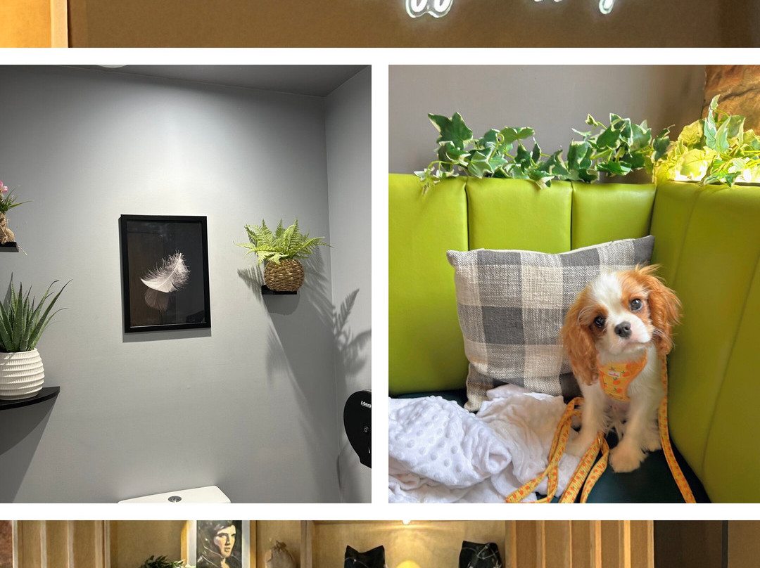 Urban Grind Coffee House, Kilsyth