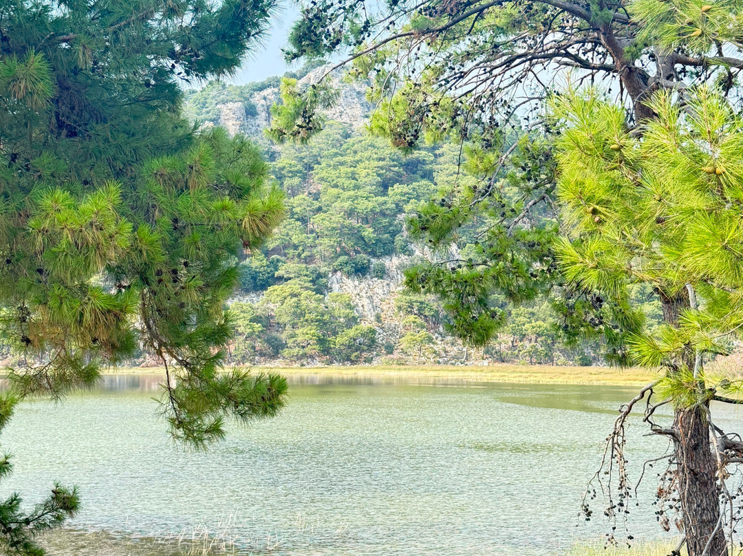 Iztuzu Beach-达利安必去景点