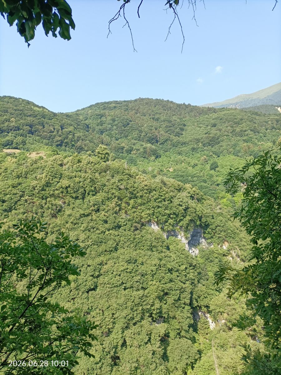 Hotel Baldo-旅行者