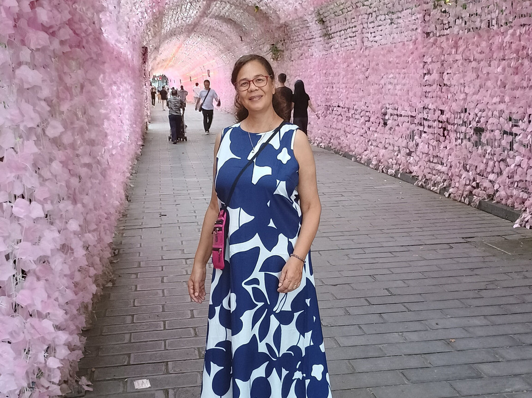 华鼎旅游-桂林市必去景点