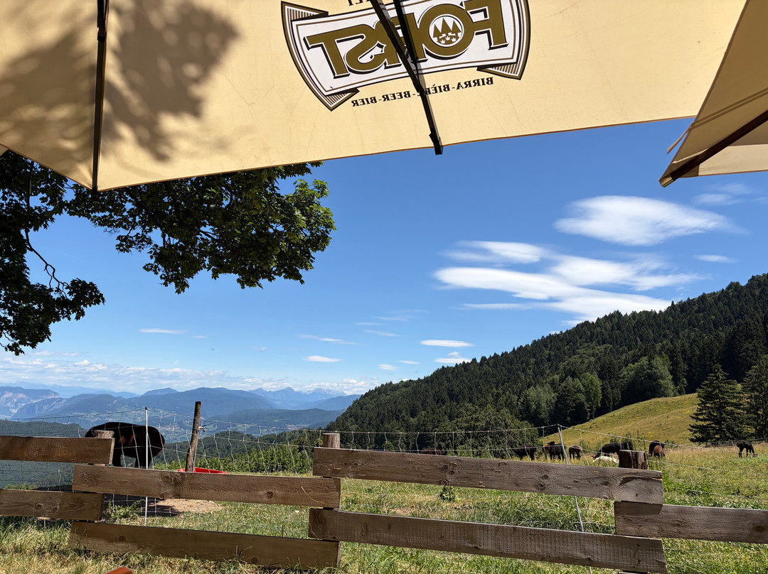 Agriturismo Malga Brigolina