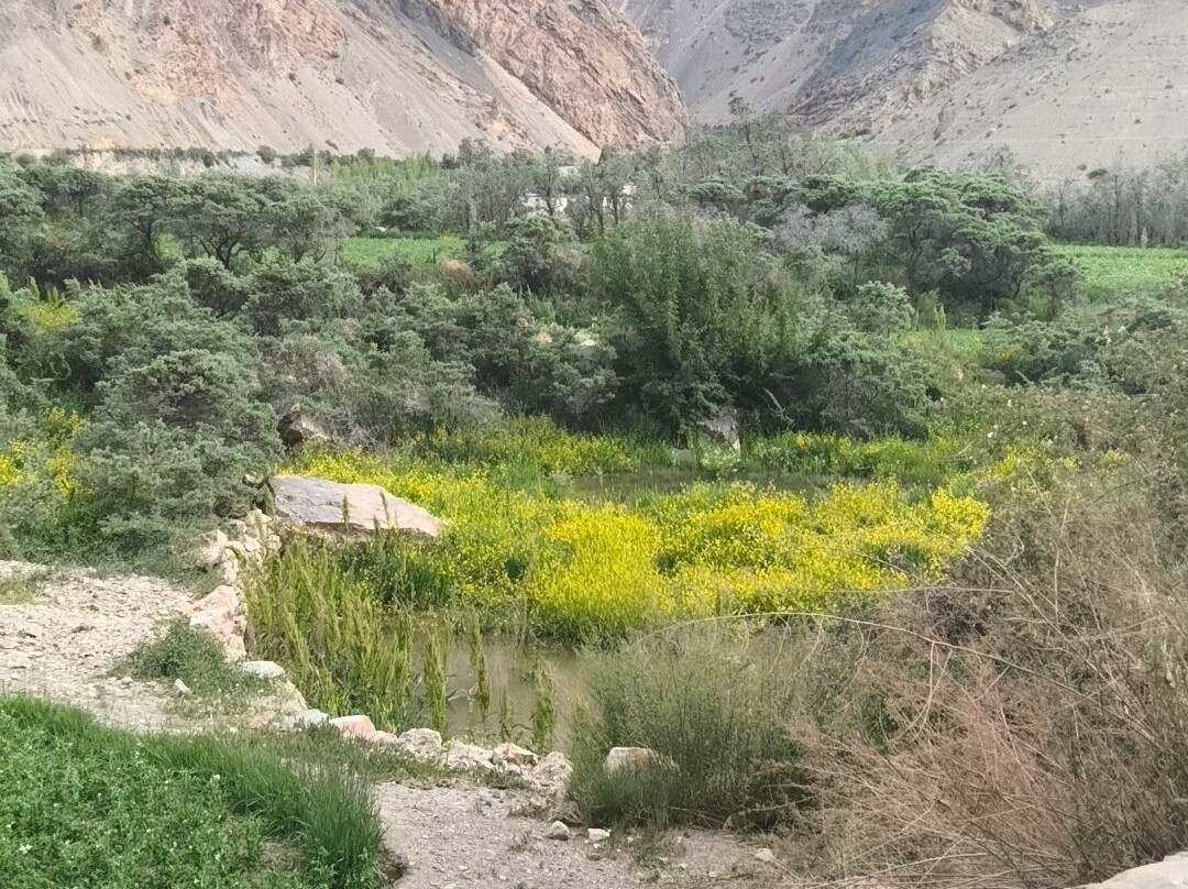 Spiti Valley-喜马偕尔邦必去景点