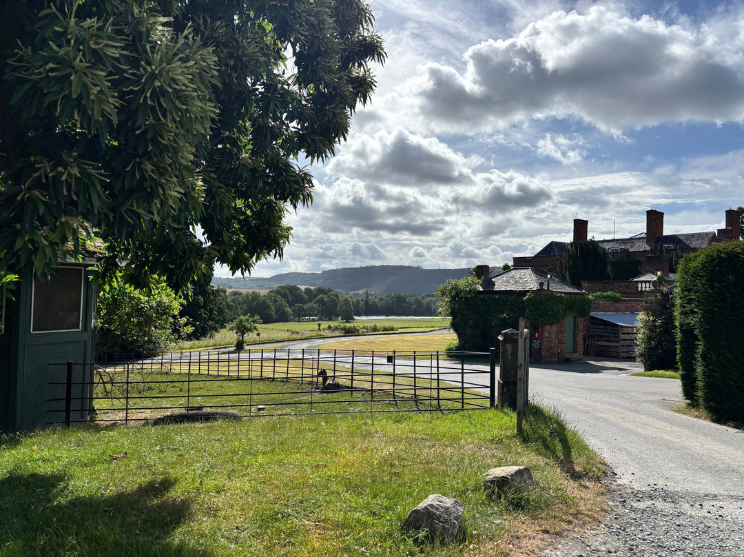 Walcot Hall-Lydbury North必去景点