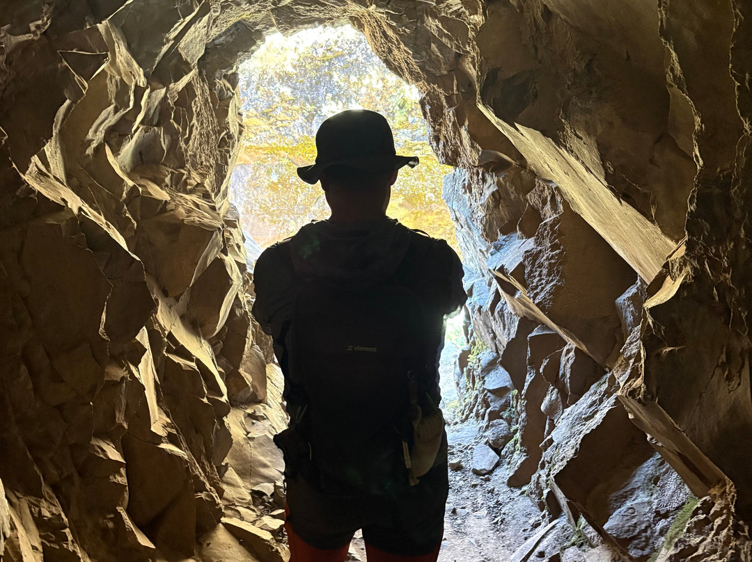 Madeira Wonder Hikes-沙尔必去景点