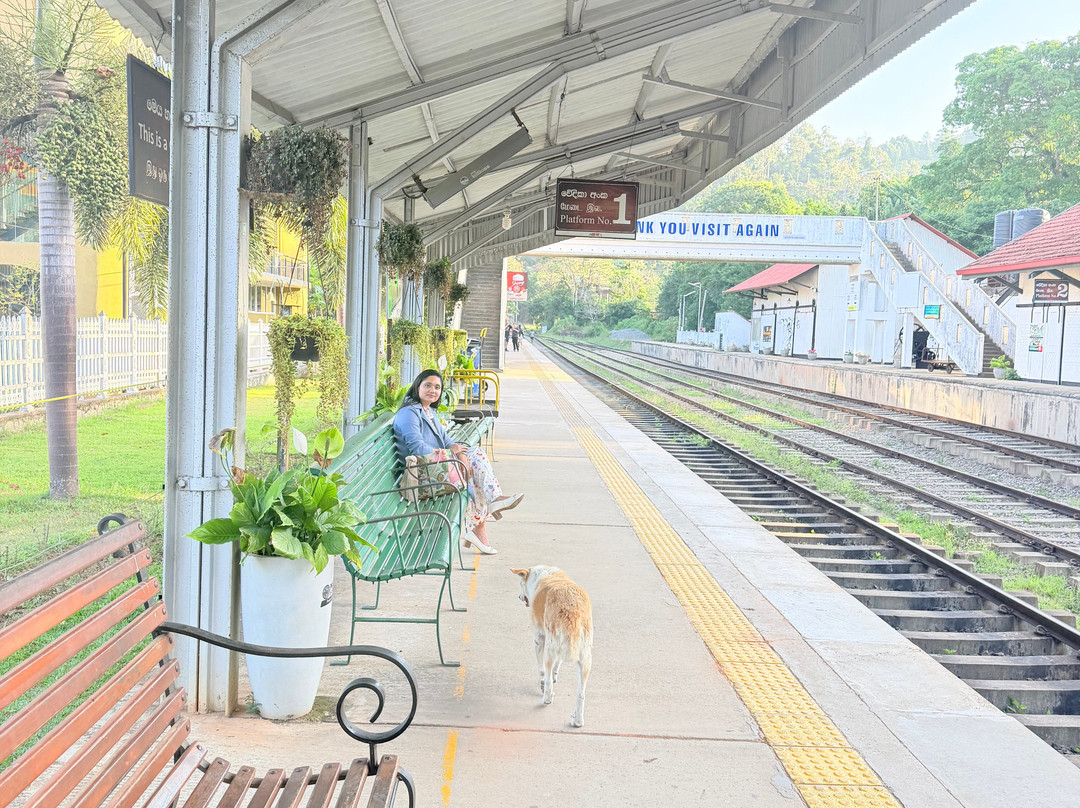 Nanuoya To Ella Train Ride-Nanu Oya必去景点